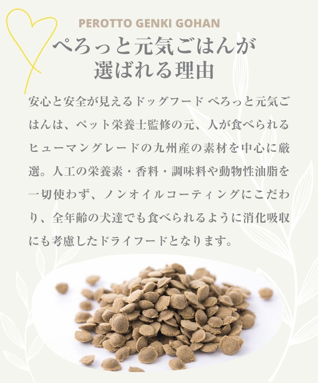 Amazon | 【ペット栄養士監修】ぺろっと元気ごはん ドッグフード 全犬